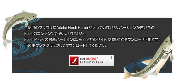 代替コンテンツ