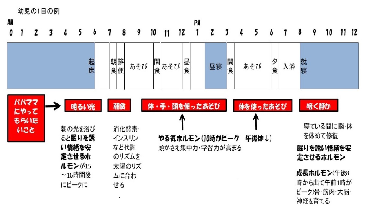 幼児１日の生活リズムの例