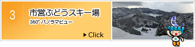 市営ぶどうスキー場