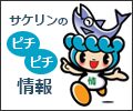 サケリンのピチピチ情報