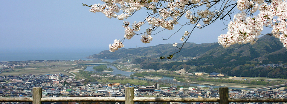 お城山から望む市街地