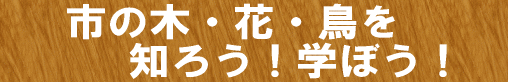 市の木・花・鳥を知ろう！学ぼう！