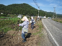 電気柵設置作業（関口）