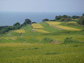 山北地区中浜集落の棚田