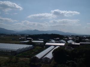 馬場館跡遠景