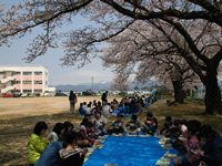 お花見給食3