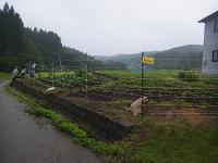 電気柵設置風景