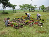 高御堂　花いっぱい2