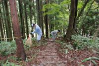 山道の落ち葉掻き