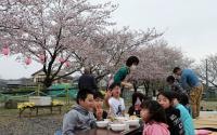 観桜会１