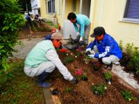 三面小学校の花壇整備