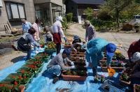 山屋花サポーター植栽の様子