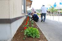 上助渕花サポーター花植えの様子