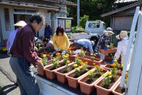 志田平花サポーター植栽の様子2