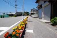 志田平花サポーター現地の様子