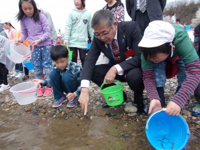 鮭の稚魚放流