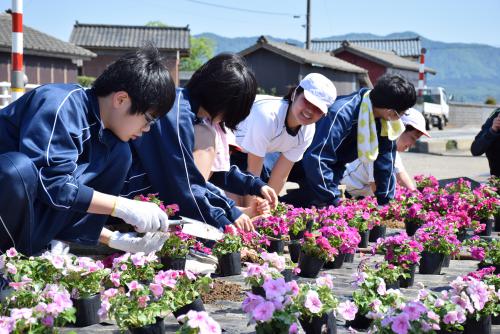 平林中学校区郷育会議の花植え