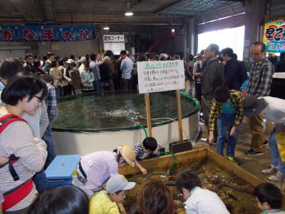 魚ふれあいコーナー