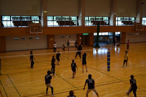 ミックスバレーボール大会の様子