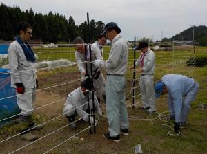 電気柵設置の様子