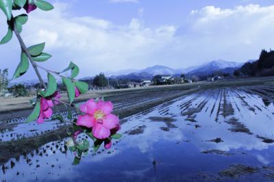 平成28年度三面地域写真コンテスト特別賞作品