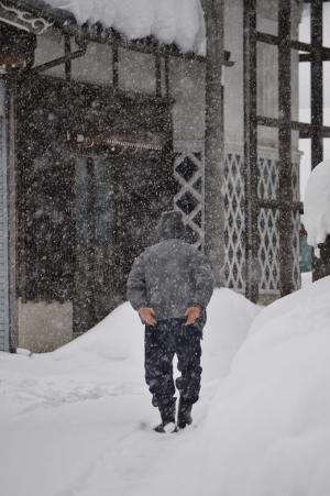 平成28年度三面地域写真コンテスト特別賞作品