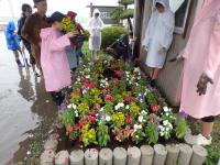 里本庄子ども会花植え