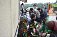 上助渕ふれあい茶の間花植え2