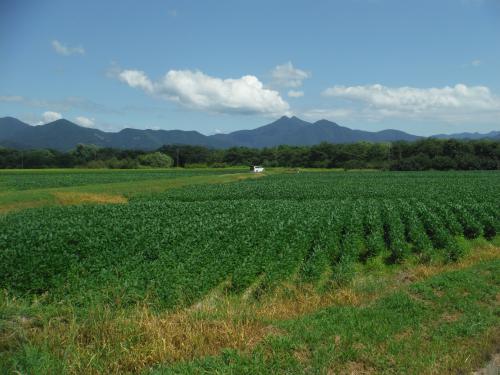 スワ！鷲ヶ巣山噴火？写真