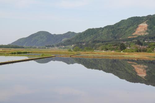 田園風景写真