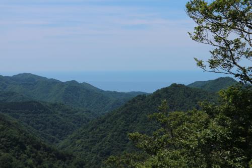 虚空蔵山より海をのぞむ写真