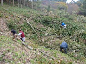 楢藪の里山再生地の整備