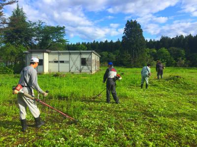 グラウンド整備、草刈り