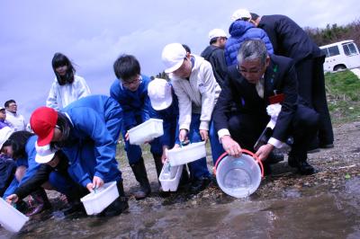 「元気で帰ってきてね」と稚魚を放流