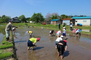 田植え1