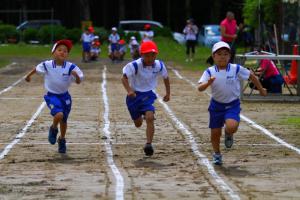 三面大運動会