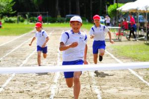 三面大運動会