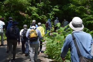 登山口入口までの道の様子