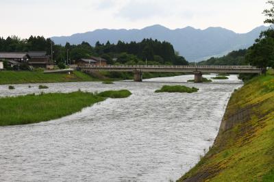 今日の三面川