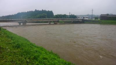 増水した三面川