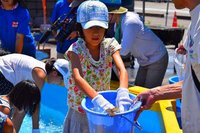 魚つかみ取りイベント