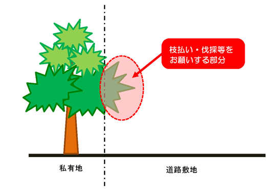 剪定をお願いする範囲