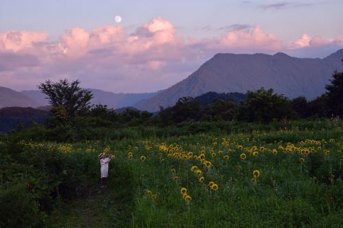 夏の夕暮れ