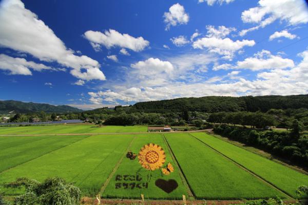 熊登の美しい自然と田んぼアート