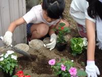 20190616里本庄植栽2