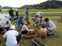 山屋区植栽1