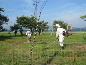 公園の草刈りの様子