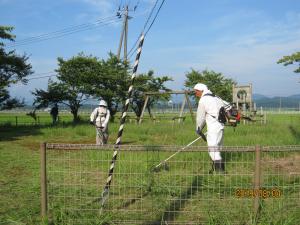 公園の草刈りの様子