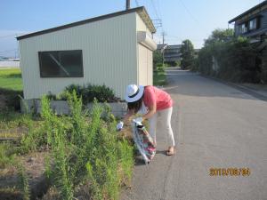 ゴミ拾いを行う住民の様子