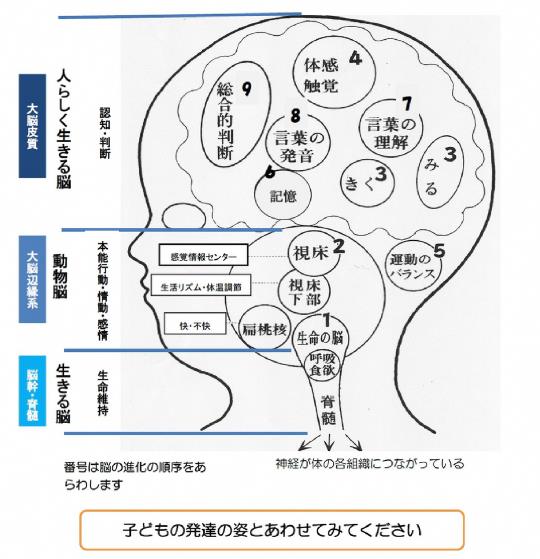 脳を理解する